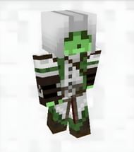 Assassin slime skin (Image via SkinsMC)